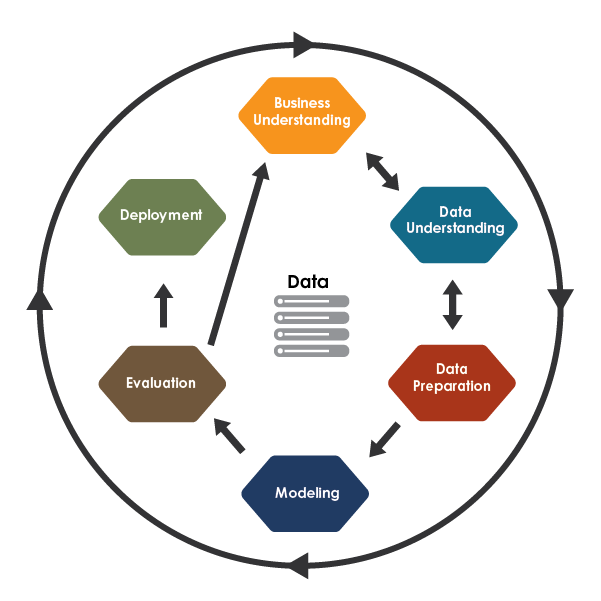 Step 4: Analysing and Interpreting the Data